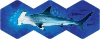 6. Aqua (edycja polska)